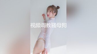 视频调教骚母狗