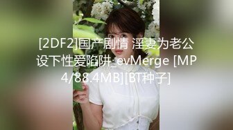 [2DF2]国产剧情 淫妻为老公设下性爱陷阱_evMerge [MP4/88.4MB][BT种子]