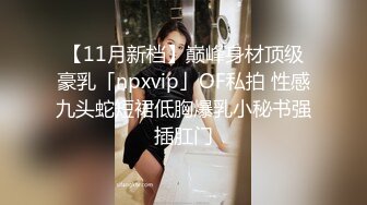 【11月新档】巅峰身材顶级豪乳「npxvip」OF私拍 性感九头蛇短裙低胸爆乳小秘书强插肛门