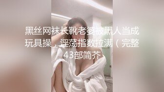 黑丝网袜长靴老婆被黑人当成玩具操，淫荡指数拉满（完整43部简芥