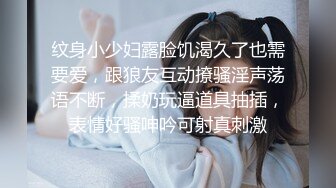 纹身小少妇露脸饥渴久了也需要爱，跟狼友互动撩骚淫声荡语不断，揉奶玩逼道具抽插，表情好骚呻吟可射真刺激