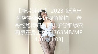 【新片速遞 】 2023-新流出酒店摄像头近视角偷拍❤️老哥约炮情妇扒开裙子仔细舔穴再趴在身上猛干[763MB/MP4/01:11:03]