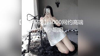 【壹屌探花】3000网约高端外围小姐姐