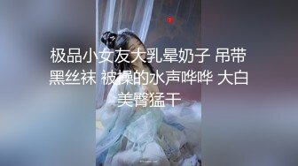 极品小女友大乳晕奶子 吊带黑丝袜 被操的水声哗哗 大白美臀猛干