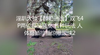 淫趴大神【醉奶逃逸】双飞4P两位极品骚女 各种玩法 人体叠插排插惊爆眼球2