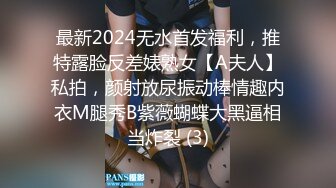 最新2024无水首发福利，推特露脸反差婊熟女【A夫人】私拍，颜射放尿振动棒情趣内衣M腿秀B紫薇蝴蝶大黑逼相当炸裂 (3)