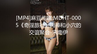 [MP4]麻豆传媒 MDHT-0005《奇淫旅社》肉棒和小穴的交谊聚会-宋南伊