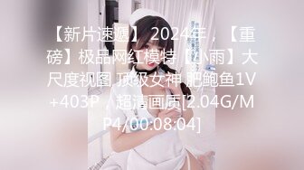 【新片速遞】 2024年，【重磅】极品网红模特【小雨】大尺度视图 顶级女神 肥鲍鱼1V+403P，超清画质[2.04G/MP4/00:08:04]