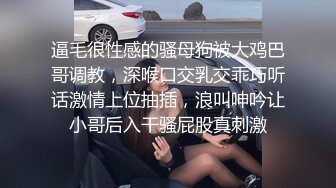 逼毛很性感的骚母狗被大鸡巴哥调教，深喉口交乳交乖巧听话激情上位抽插，浪叫呻吟让小哥后入干骚屁股真刺激