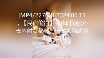 [MP4/227MB]2024.06.19，【民宿偷拍】午休时间张科长内射女秘书，一对大胸就够玩一年