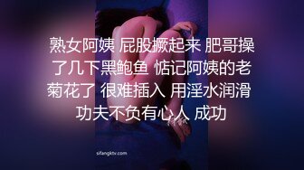 商场女厕全景偷拍 长发红唇美女肥美的嫩鲍