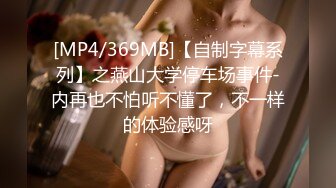 [MP4/369MB]【自制字幕系列】之燕山大学停车场事件-内再也不怕听不懂了，不一样的体验感呀