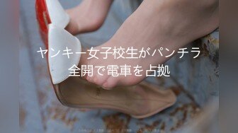 ヤンキー女子校生がパンチラ全開で電車を占拠