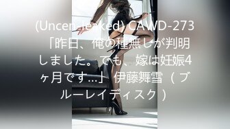 (Uncen-leaked) CAWD-273 「昨日、俺の種無しが判明しました。でも、嫁は妊娠4ヶ月です…」 伊藤舞雪 （ブルーレイディスク）