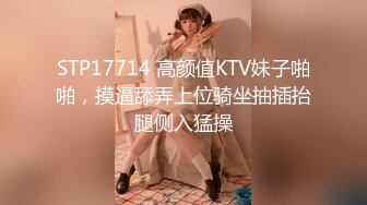 STP18209 空姐女神真温柔，制服诱惑美乳翘臀高耸，如水佳人今夜不虚度