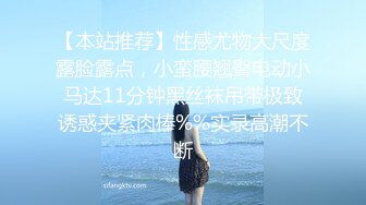 [MP4/1.01G]某航空姐身材颜值天花板~上班服务旅客是女神，下班服务金主是母狗~啪啪泄欲调教